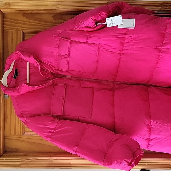 Puffer - Picture 3 of 4